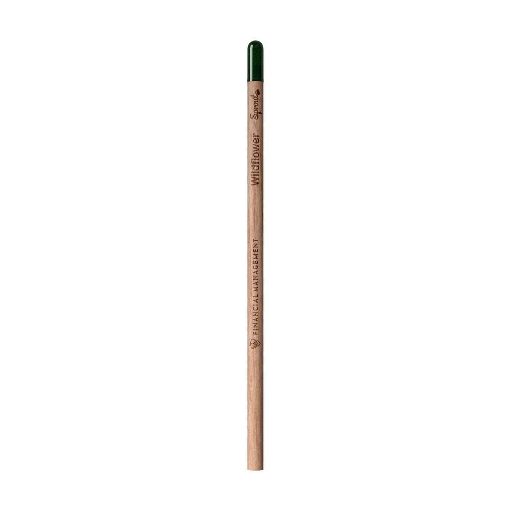 Sproutworld ungespitzter Bleistift TERRASOW