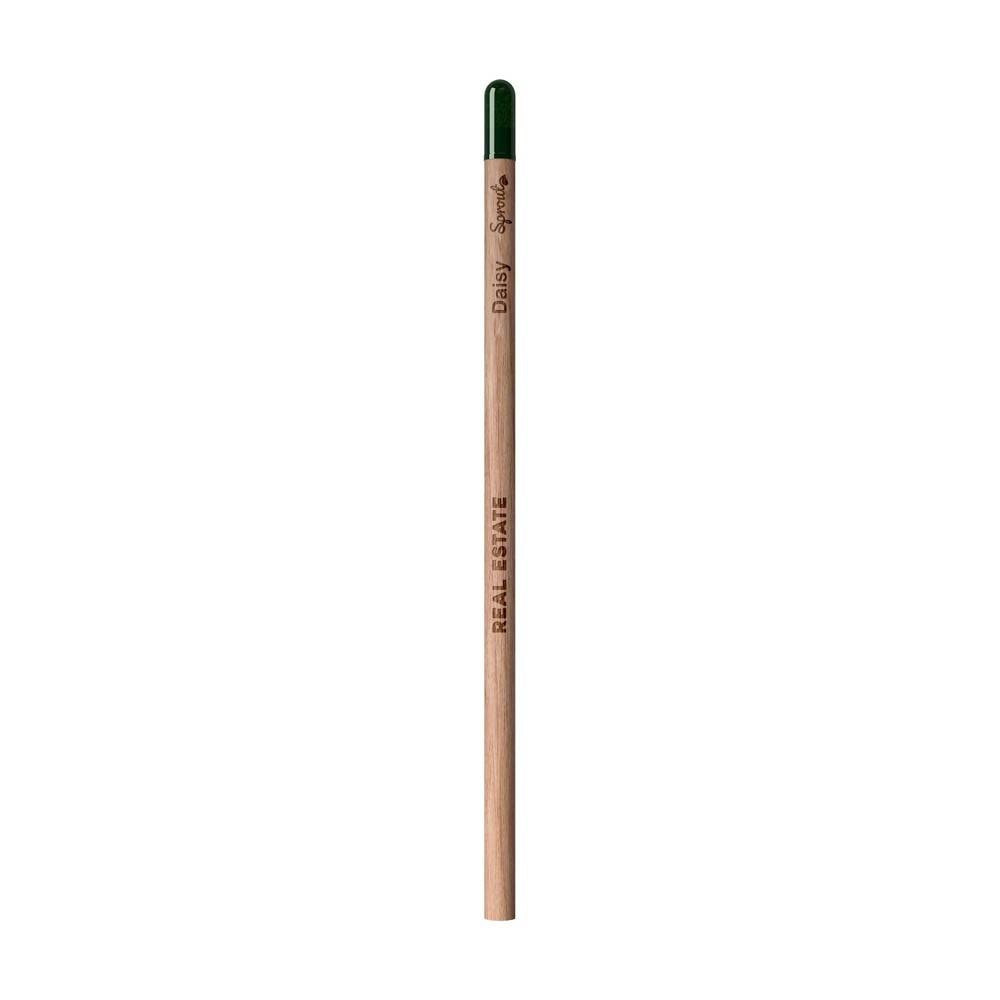 impr_1564034.jpg [77dd3f4c]